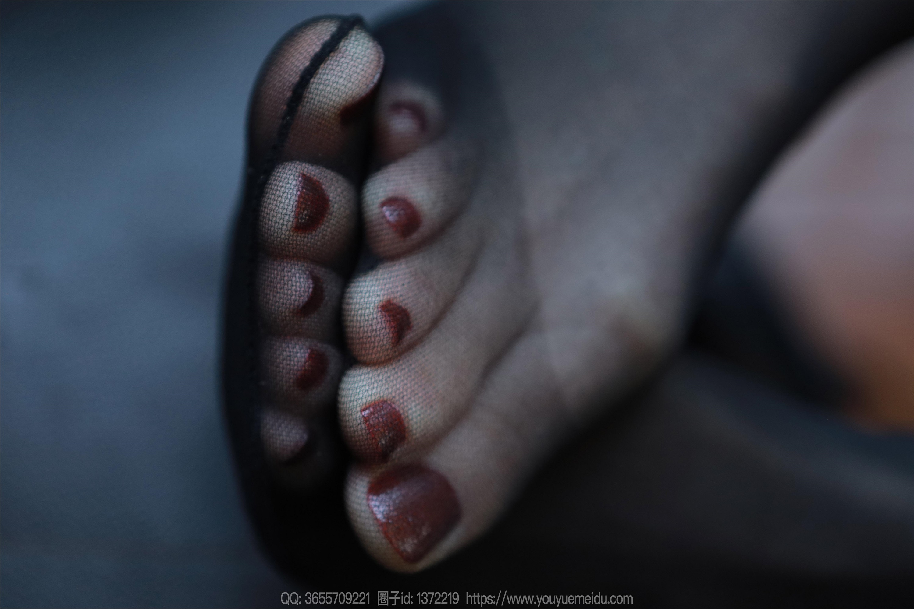 IESS异思趣向  2023.12.20 丝享家 1616 团团《乌黑红润》